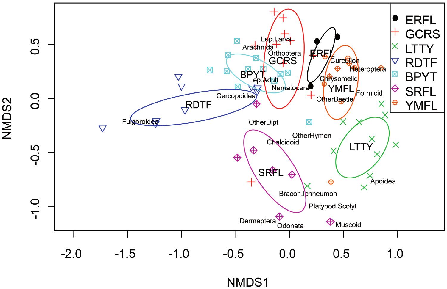 Insectivorous Birds In The Neotropics Ecological Radiations Specialization And Coexistence In Species Rich Communities