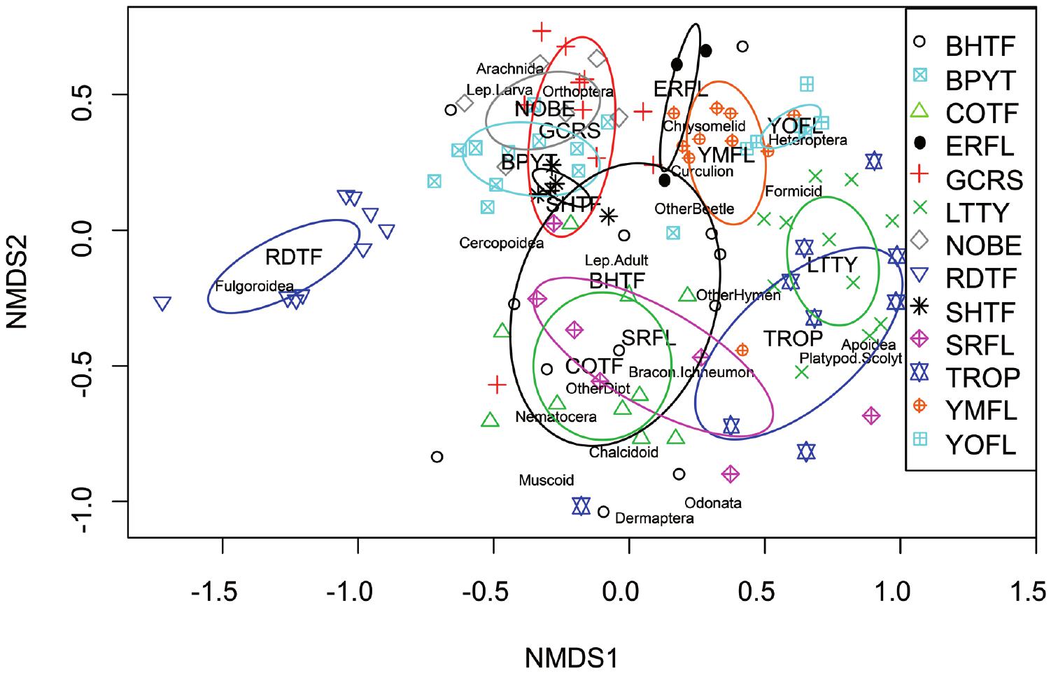 Insectivorous Birds In The Neotropics Ecological Radiations Specialization And Coexistence In Species Rich Communities