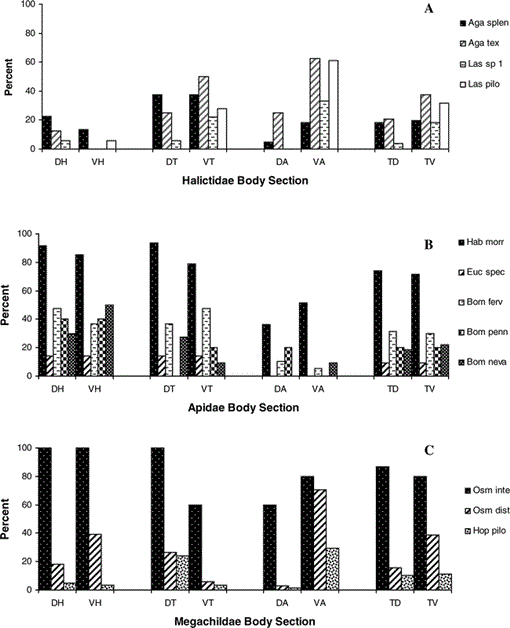 Pollination Biology Of The Endangered Blowout Penstemon Penstemon Haydenii S Wats Scrophulariaceae In Nebraska1