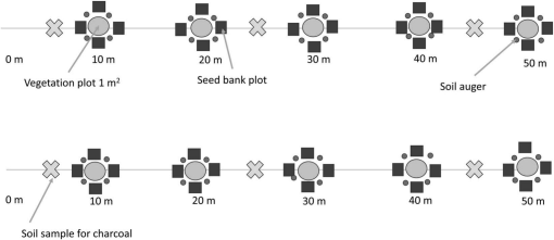 Plots of dD vs. d 18 O of plant stem water in upland (shaded/dark