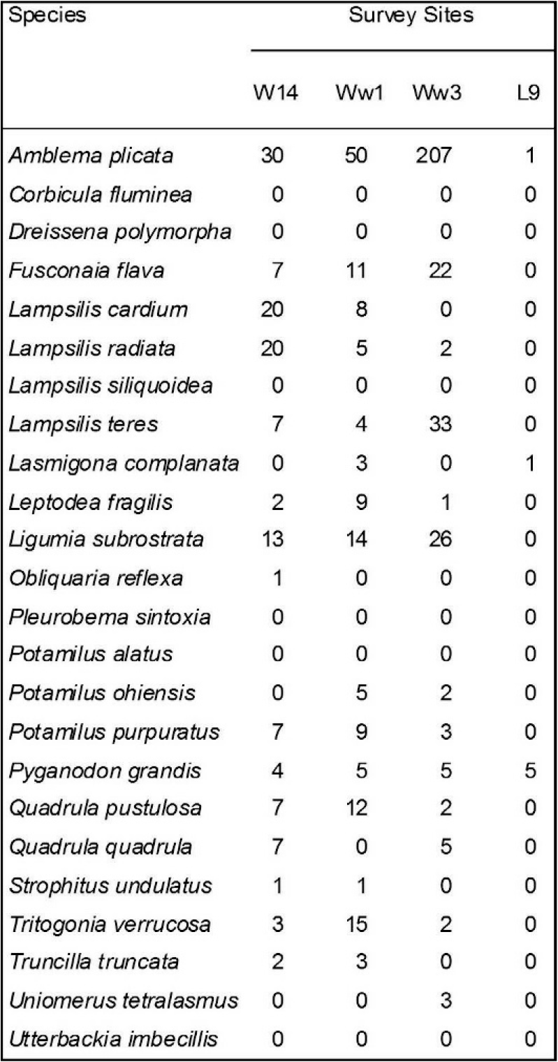 Reassessment Of Freshwater Unionid Mussel Diversity And - 