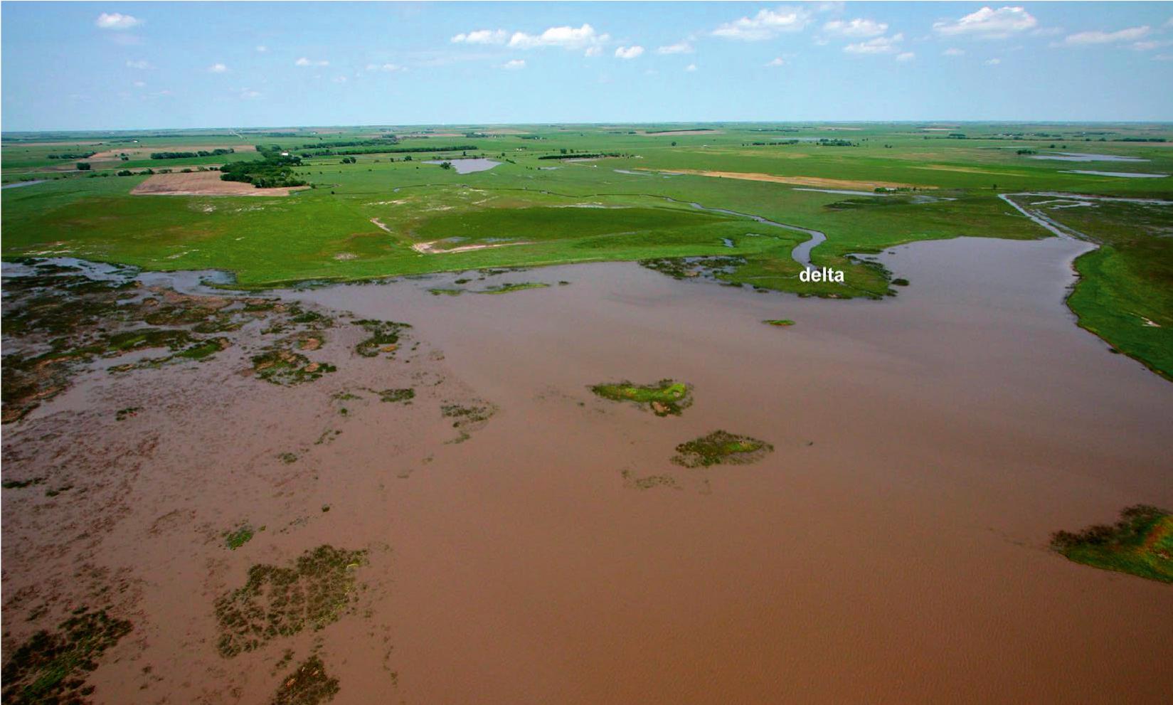 Using Remote Sensing to Monitor Cattail Invasion, Cheyenne Bottoms ...