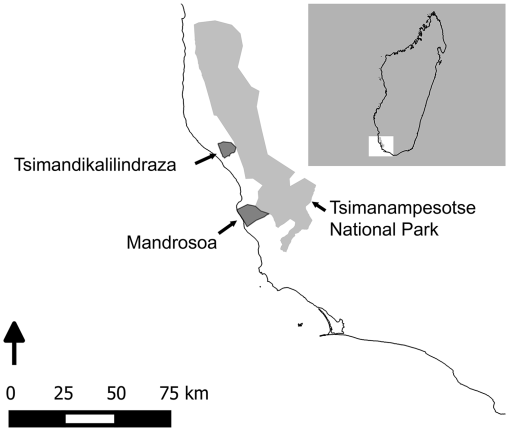 10.1177_1940082917693234-fig1.tif