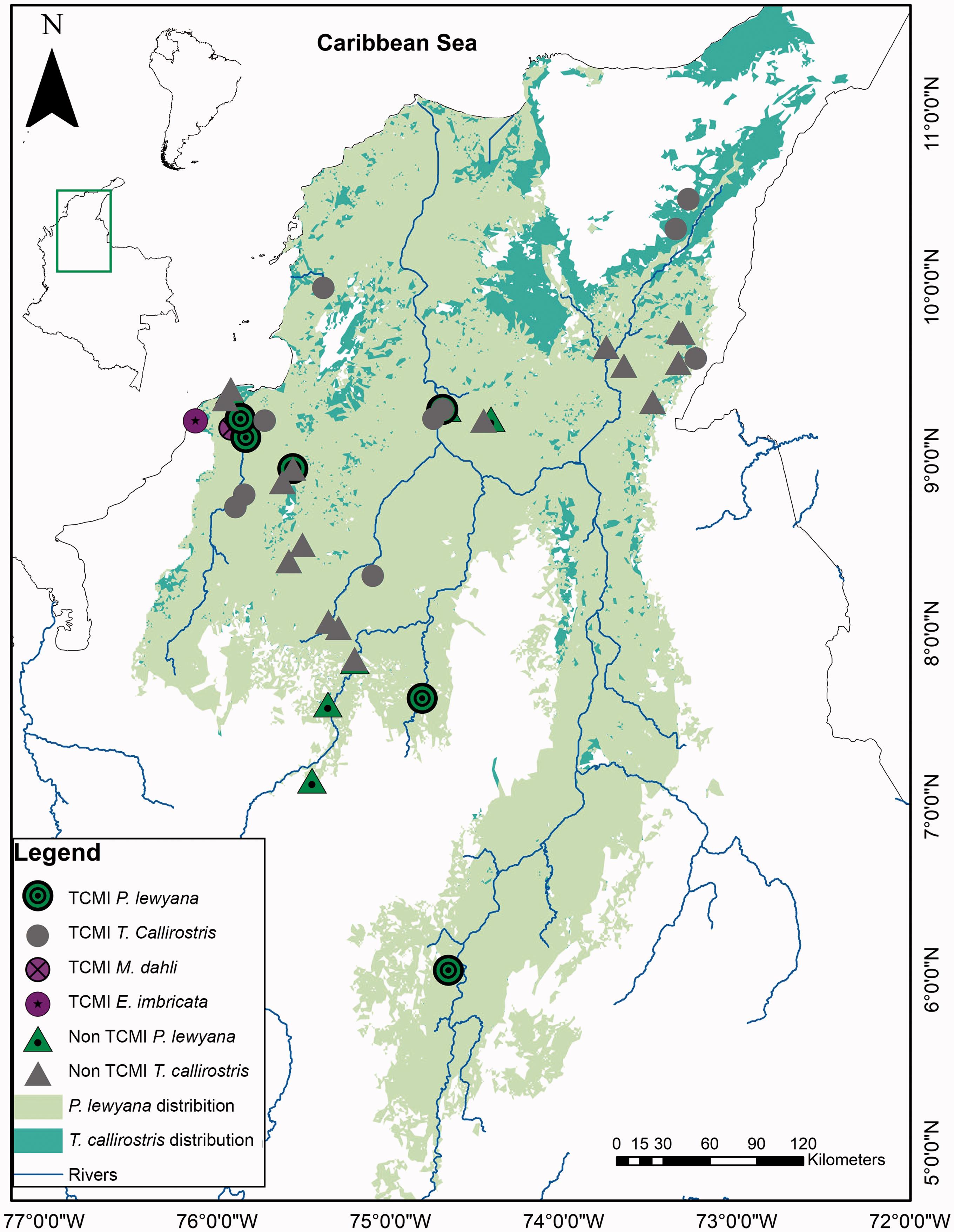 Analysis Of People S Perceptions Of Turtle Conservation Effectiveness For The Magdalena River Turtle Podocnemis Lewyana And The Colombian Slider Trachemys Callirostris In Northern Colombia An Ethnozoological Approach