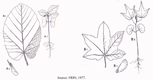 10.1177_1940082919864267-fig1.tif