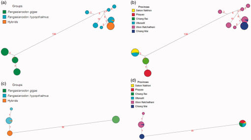 10.1177_1940082919869487-fig4.tif