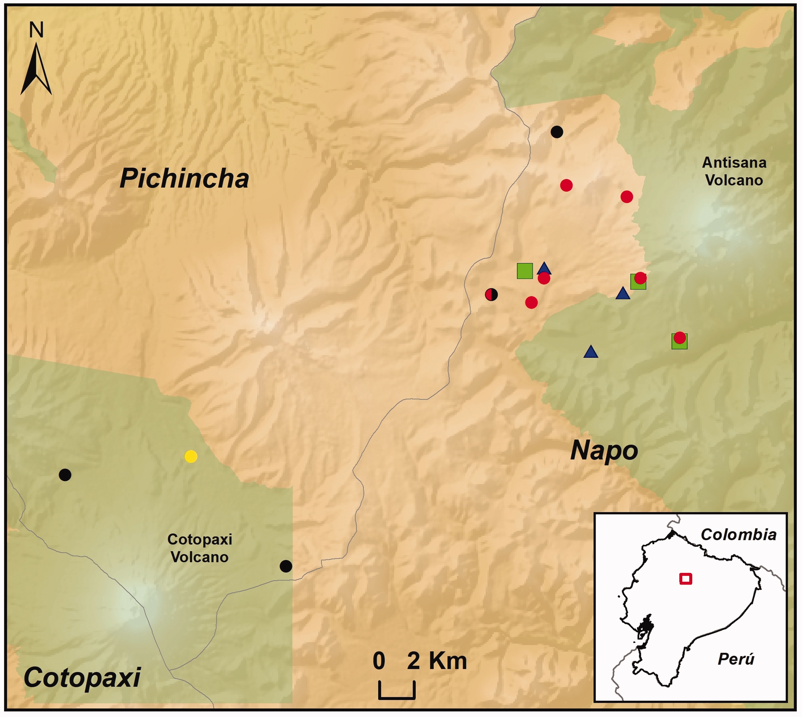 Estimating The Abundance Of Andean Ibis Theristicus Branickii In
