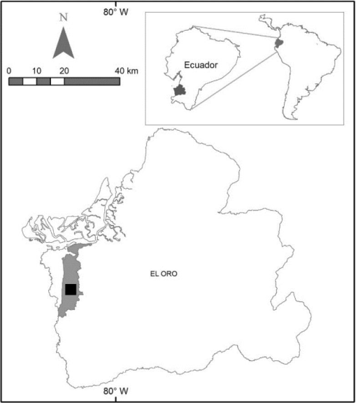 10.1177_194008291500800205-fig1.tif