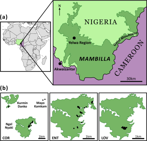 10.1177_194008291600900117-fig1.tif