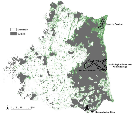 10.1177_194008291600900211-fig4.tif