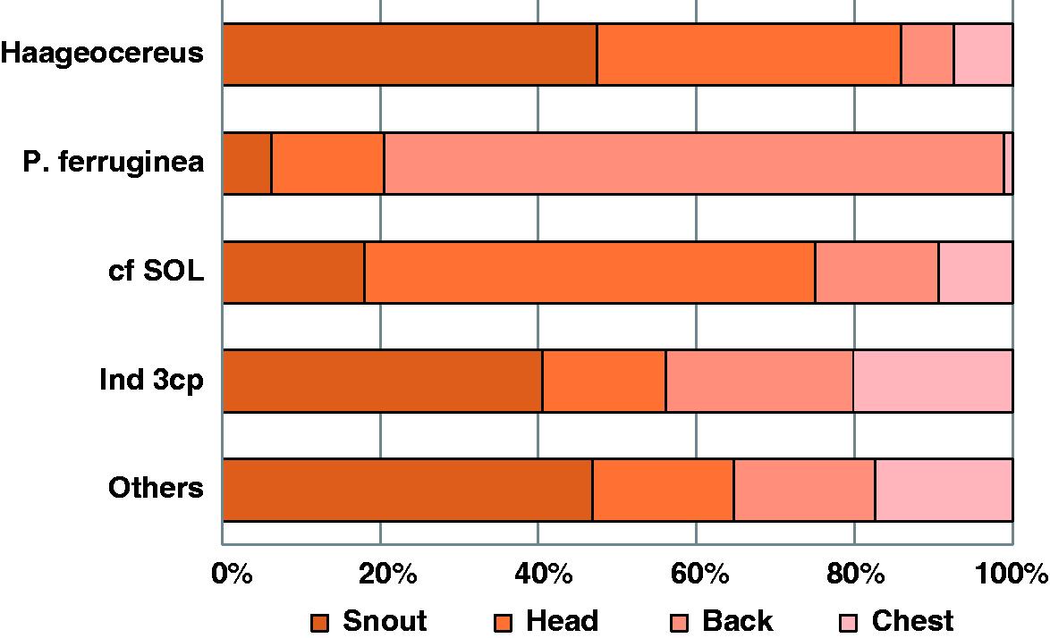 Diet and Pollinator Role of the Long-Snouted Bat Platalina genovensium ...
