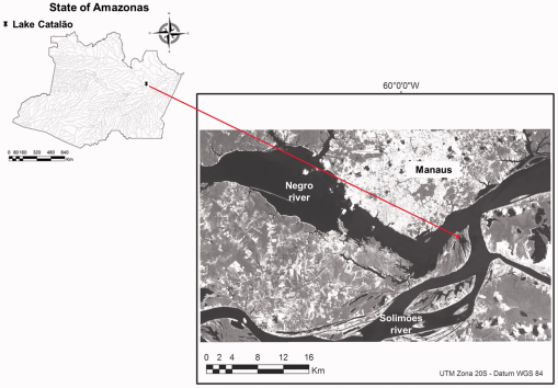 10.1177_1940082916676129-fig1.tif