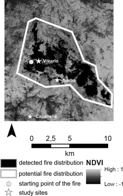 A Dendroecological Fire History For Central Corsica France