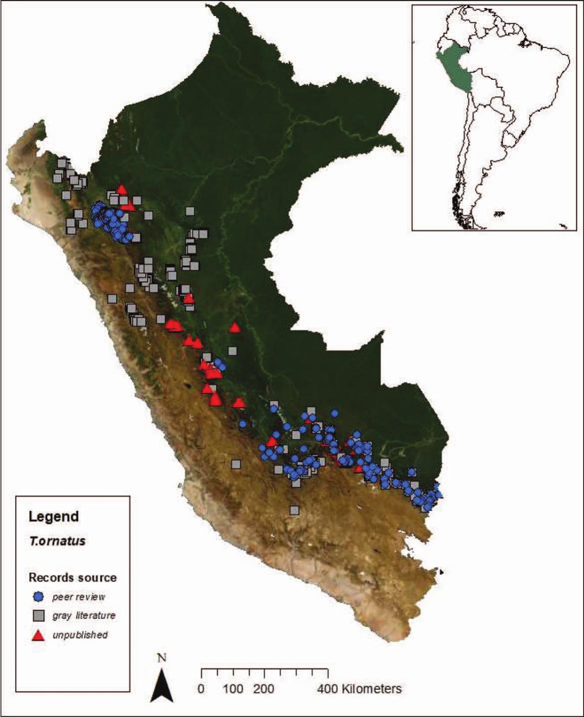 An open-access occurrence database for Andean bears in Peru