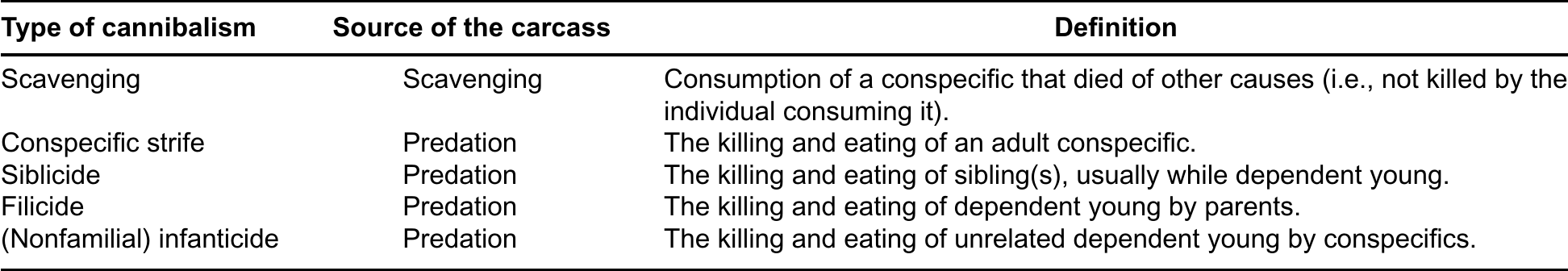 Cannibalism In Bears