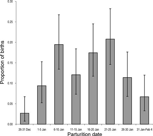 American black bear estrus and parturition in the Alleghany Mountains ...