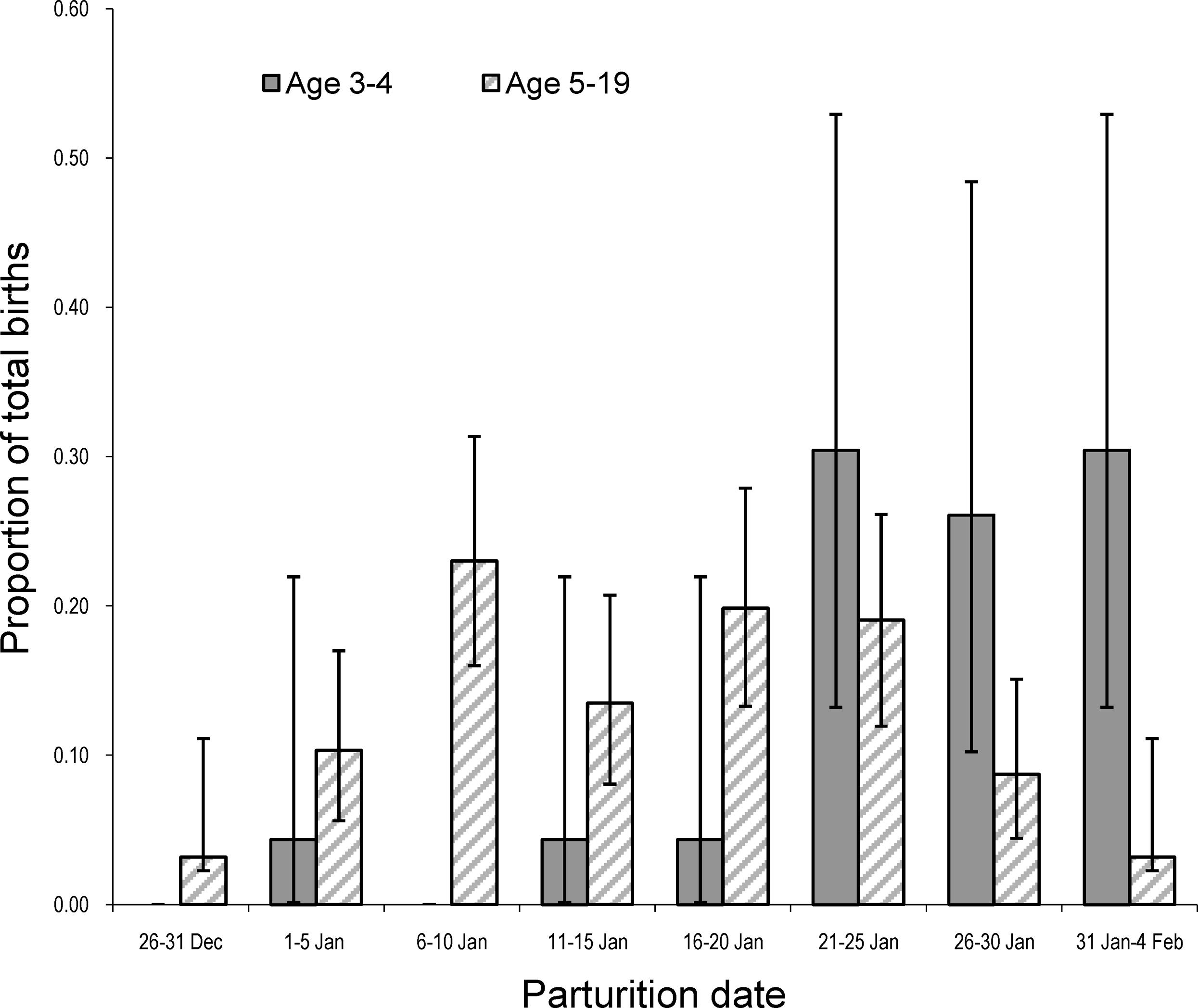 American black bear estrus and parturition in the Alleghany Mountains ...