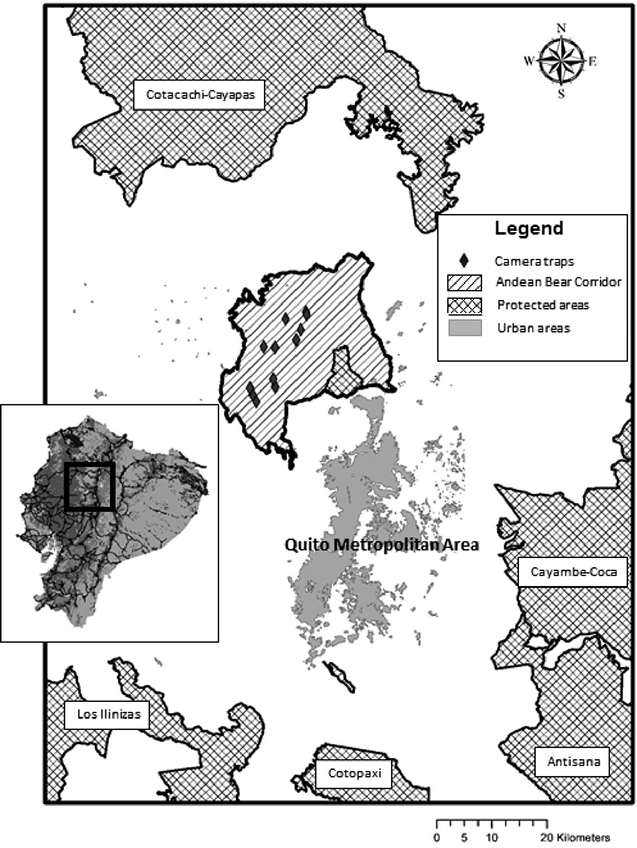 Use Of Spatial Capture Recapture To Estimate Density Of Andean