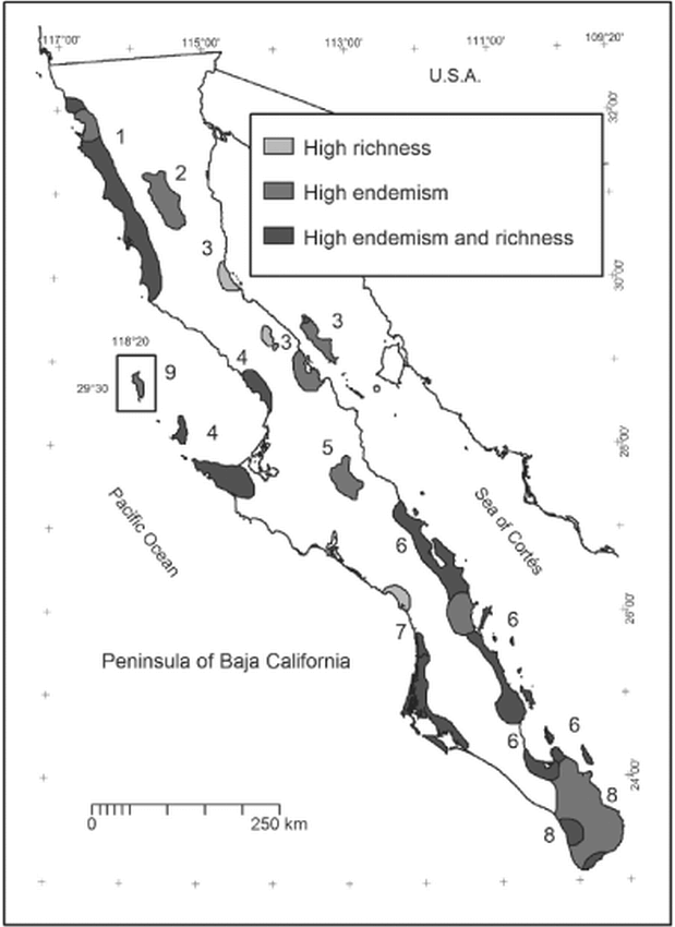 Endemic Regions Of The Vascular Flora Of The Peninsula Of Baja 