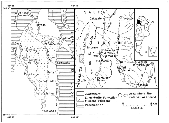 A NEW TOXODONT FROM THE LATE MIOCENE OF CATAMARCA, ARGENTINA, AND A ...