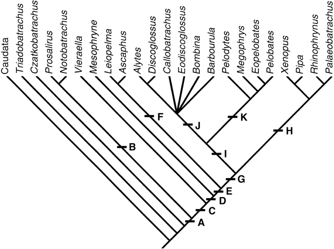 Mesozoic anurans from Liaoning Province, China, and phylogenetic ...