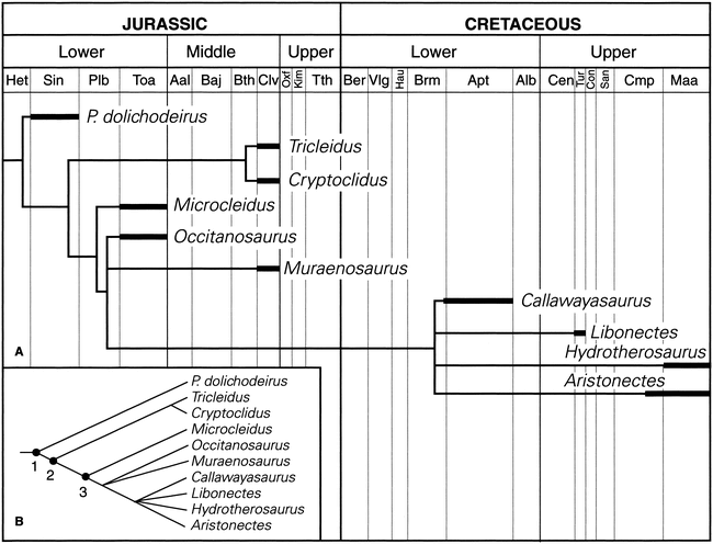 of mlp table pv PLESIOSAUR ELASMOSAURID FROM THE THE ARISTONECTES CABRERA