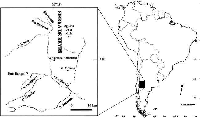 OPHTHALMOSAURIA (ICHTHYOSAURIA) FOREFIN FROM THE AALENIAN-BAJOCIAN ...