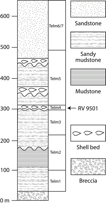 A LEATHERBACK SEA TURTLE FROM THE EOCENE OF ANTARCTICA: IMPLICATIONS ...