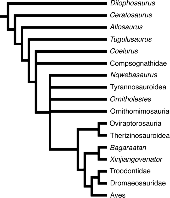 small theropod dinosaurs