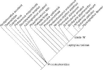 A New and Unusual Procolophonid Parareptile from the Lower Triassic ...