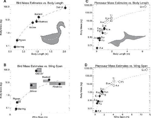 Record claims of pterosaur wingspans and equivalent standing heights