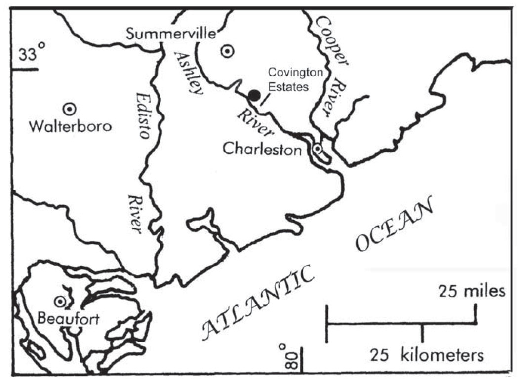 A New Basal Odontocete from the Upper Rupelian of South Carolina, U.S.A ...