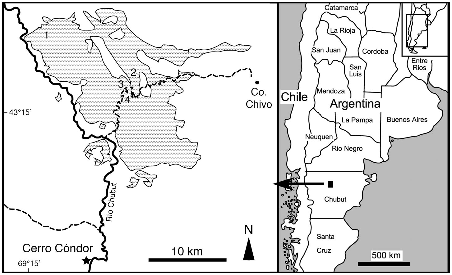 A Diplodocid Sauropod Dinosaur from the Late Jurassic Canadón Calcáreo ...