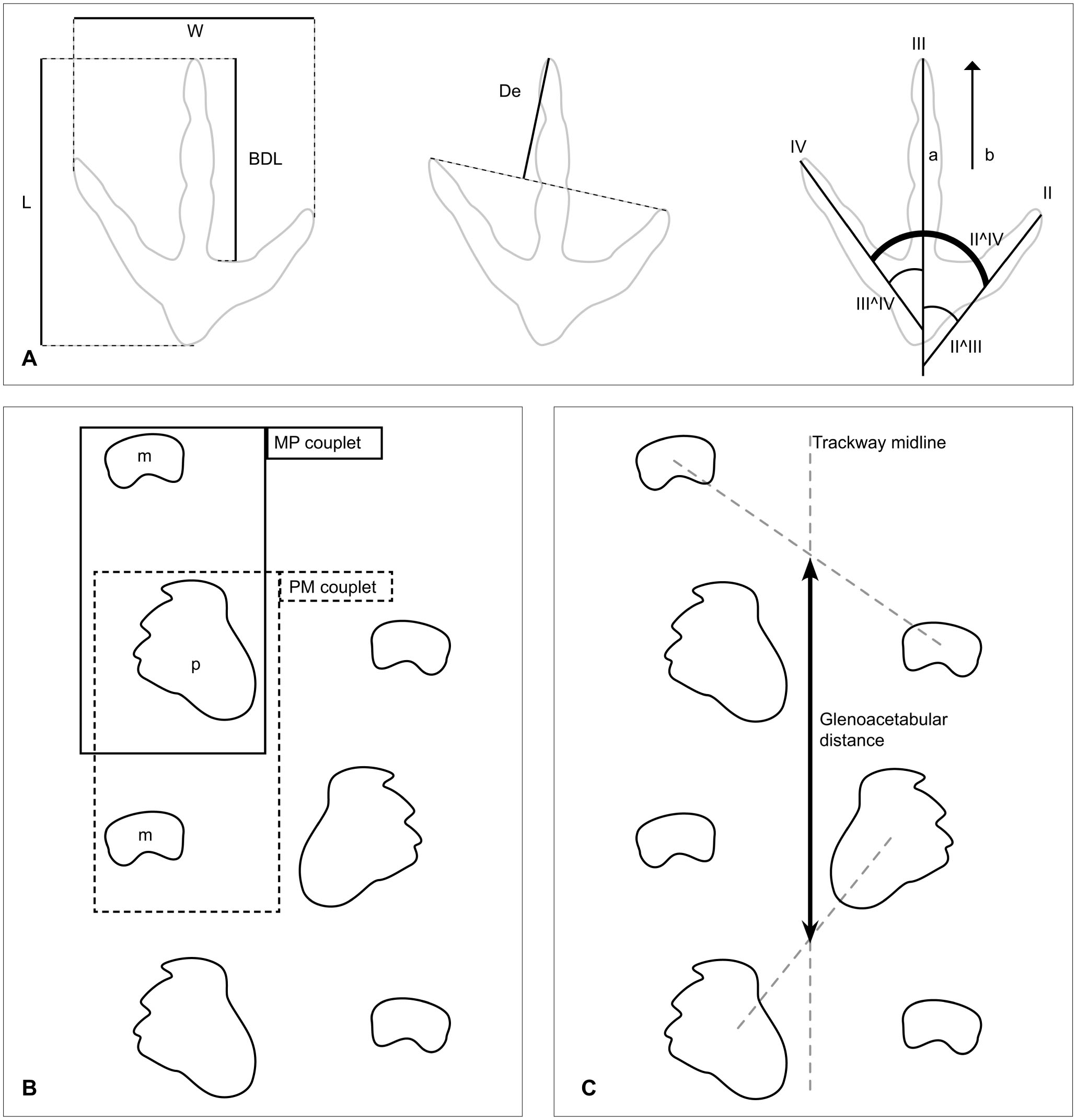 The Dinosaurian Ichnofauna Of The Lower Cretaceous