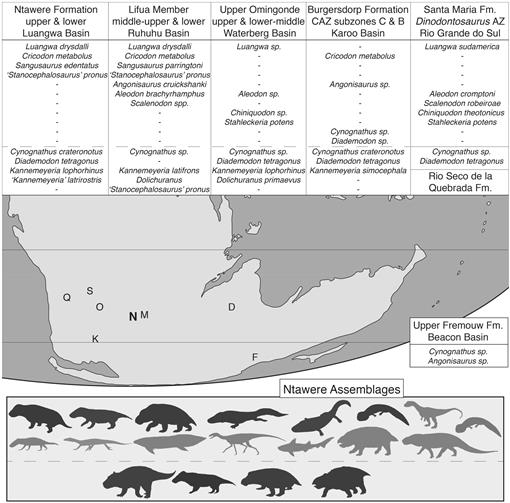 cynognathus google maps