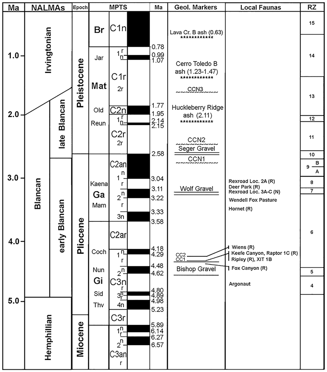 New Specimens Of Pliocene Bats Mammalia Chiroptera