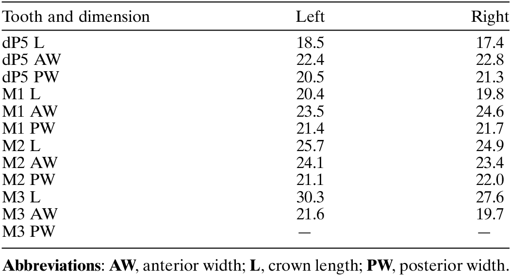 Fischer Ridge Crown Size Chart