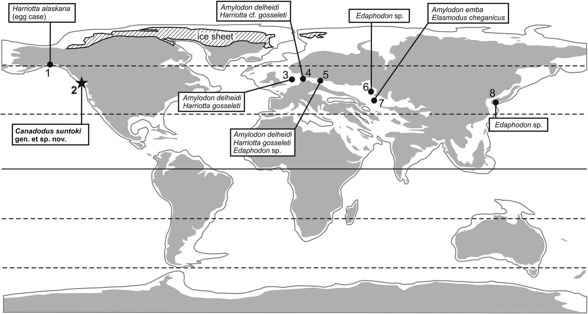 A New Genus of Chimaerid Fish (Holocephali, Chimaeridae) from the Upper ...