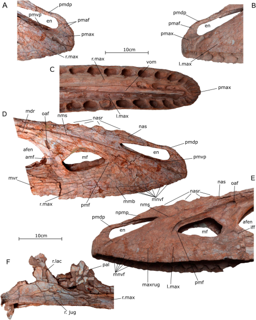 https://bioone.org/ContentImages/Journals/vrpa/41/4/02724634.2021.1999251/graphic/WebImages/img-z4-1_01.jpg