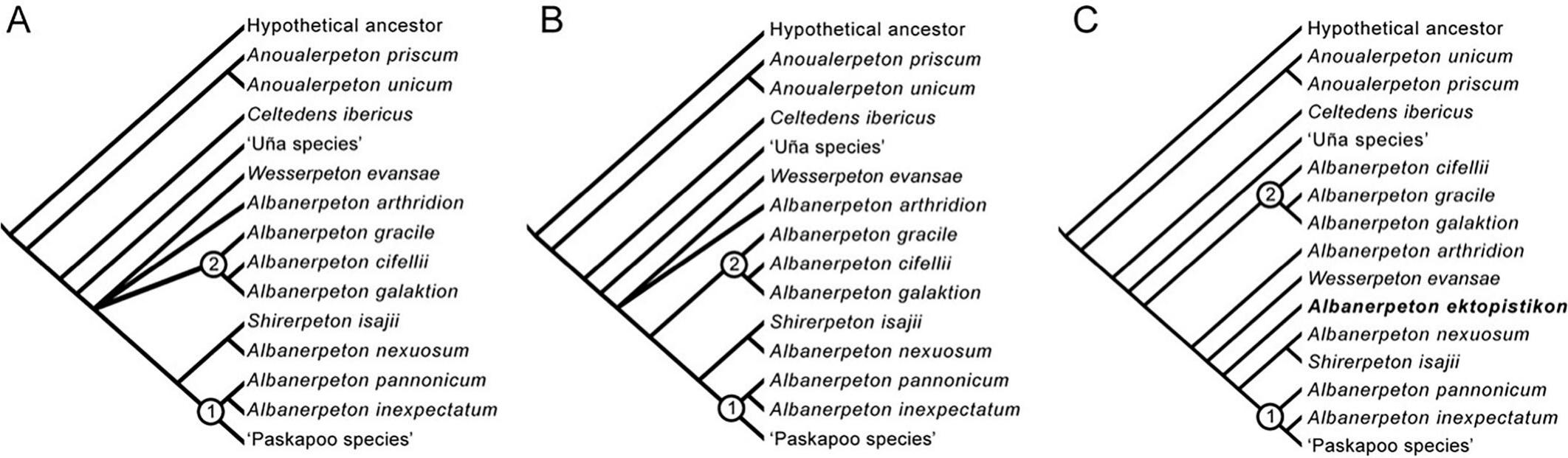 Vertebrate Paleontology of the Cloverly Formation (Lower Cretaceous ...