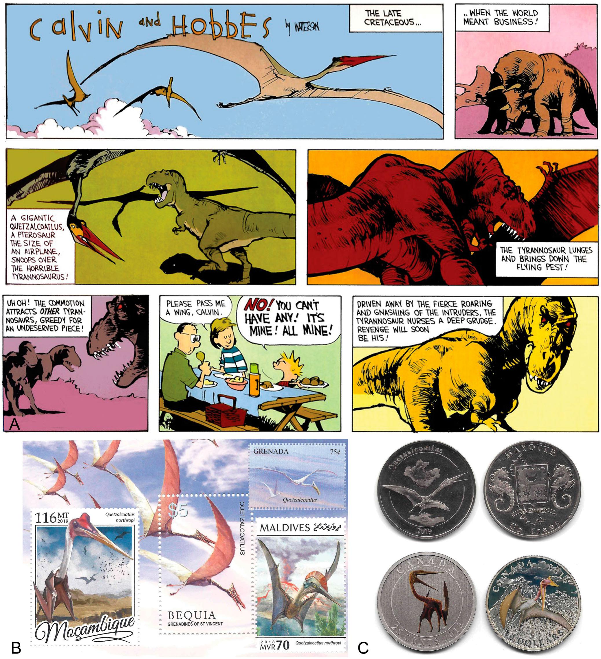 Pteranodon and beyond: the history of giant pterosaurs from 1870 onwards