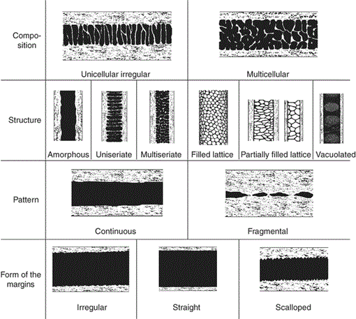 i0909-6396-12-3-305-f01.gif