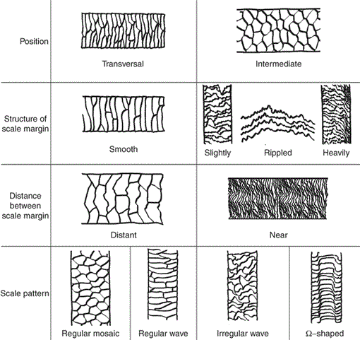 i0909-6396-12-3-305-f02.gif