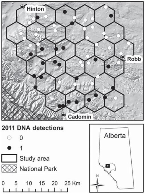 Distribution of DNA hair snag sites in Alberta, Canada by each bear