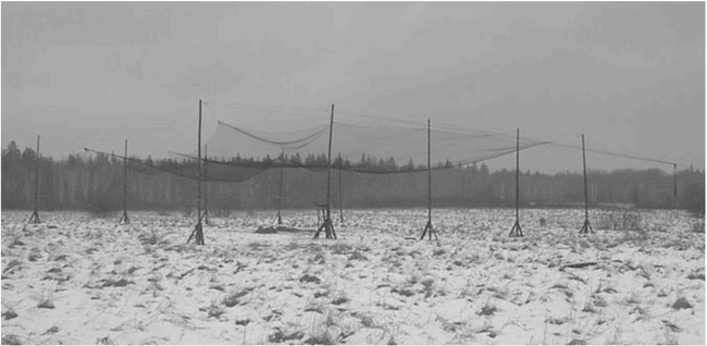 Modified drop-net for capturing ungulates
