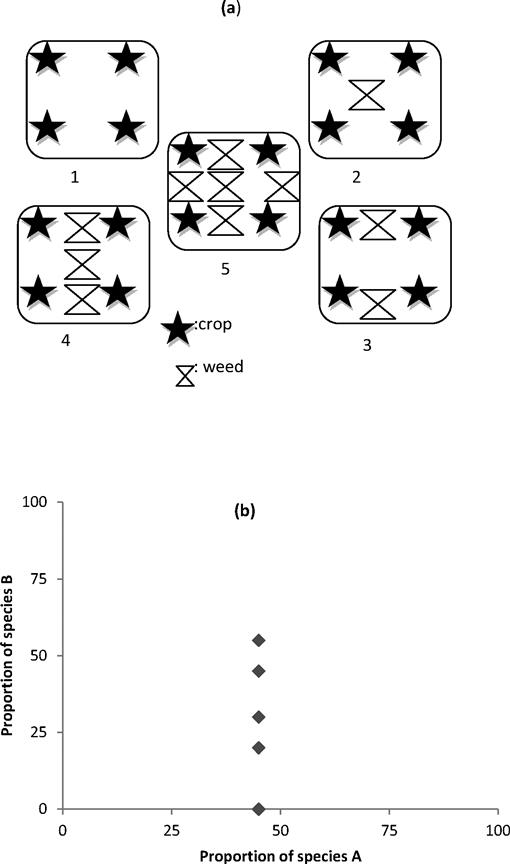 experimental study weed