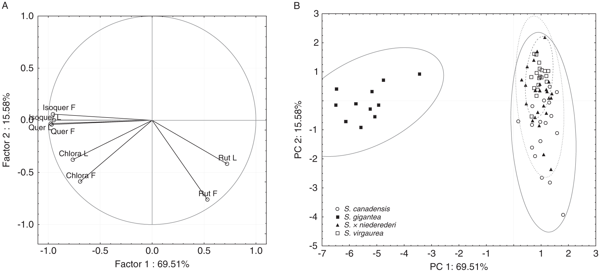 Assessment of Solidago × niederederi Origin Based on the Accumulation ...