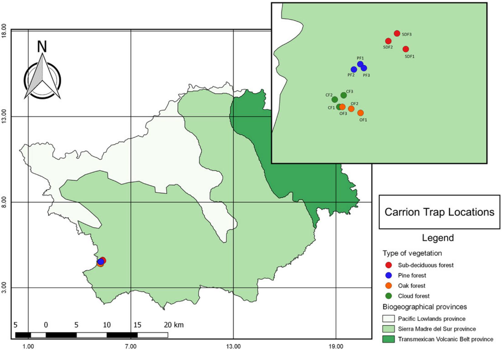 Structure of the Assemblages of Round Fungus Beetles (Leiodidae ...