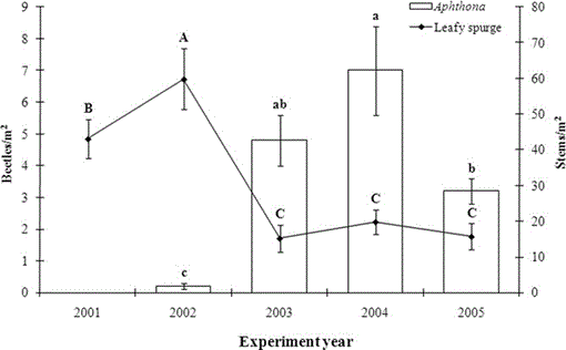 Integrating Flea Beetles (Aphthona Spp.) With Herbicide And Grasses For ...