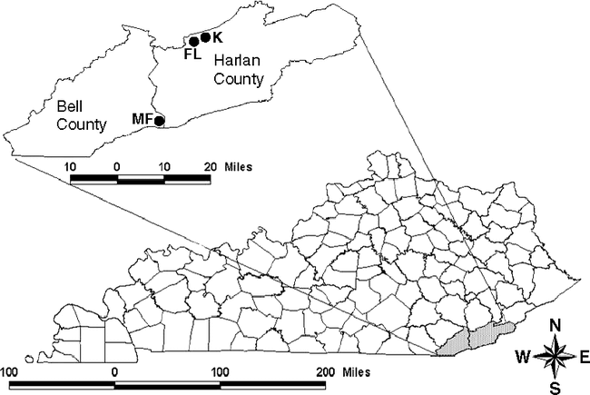 HYDROLOGIC AND EDAPHIC CHARACTERISTICS OF THREE MOUNTAIN WETLANDS IN ...